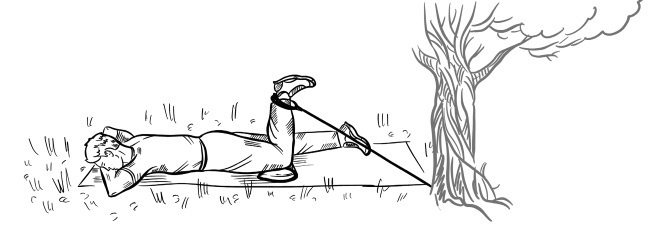 Иллюстрация к книге — 6 соток здоровья. Правильный отдых и восстановление круглый год [i_059.jpg]