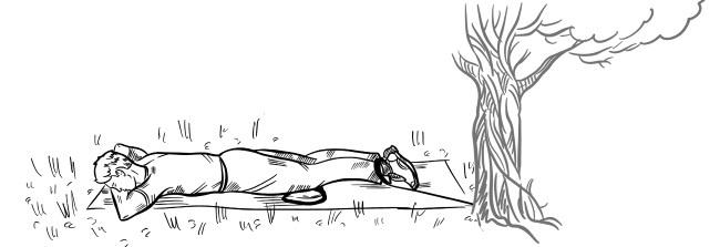 Иллюстрация к книге — 6 соток здоровья. Правильный отдых и восстановление круглый год [i_060.jpg]