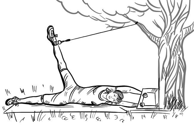 Иллюстрация к книге — 6 соток здоровья. Правильный отдых и восстановление круглый год [i_065.jpg]