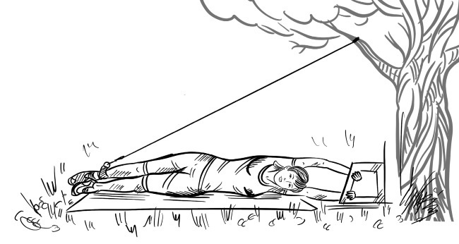 Иллюстрация к книге — 6 соток здоровья. Правильный отдых и восстановление круглый год [i_066.jpg]