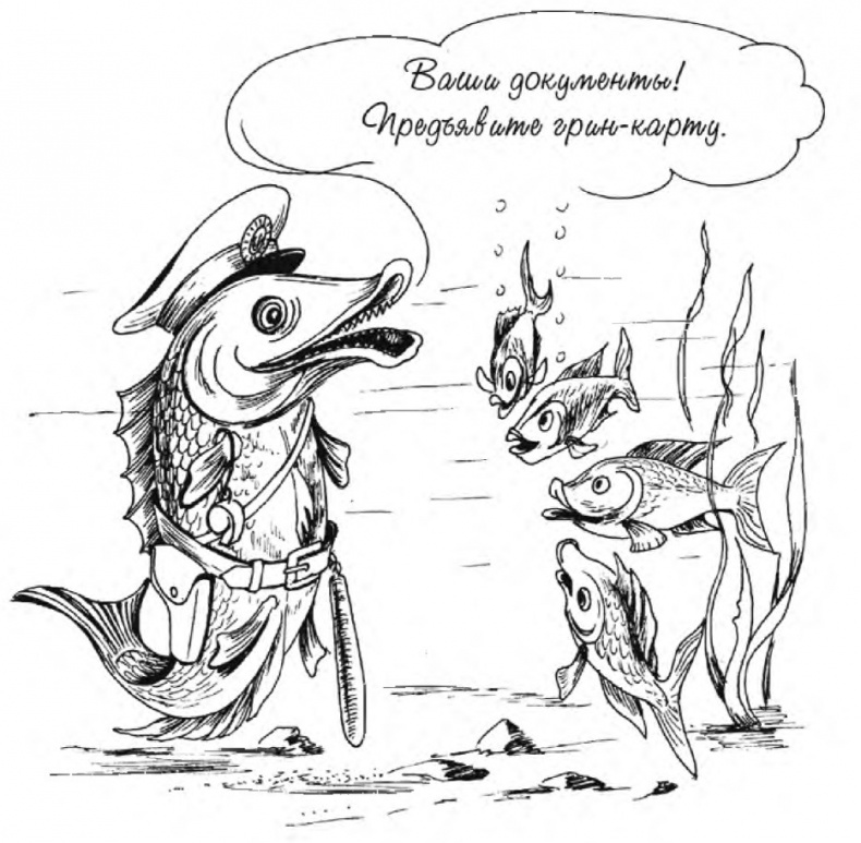 Иллюстрация к книге — Миллион решений для жизни. Ключ к вашему успеху [_27.jpg]