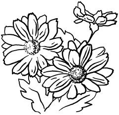 Иллюстрация к книге — Любое желание за 30 минут. Карта желаний. Быстрое исполнение желаний «золотыми» методами практического фэн-шуй [_25.jpg]