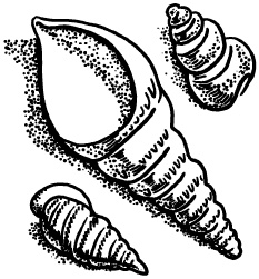 Иллюстрация к книге — Любое желание за 30 минут. Карта желаний. Быстрое исполнение желаний «золотыми» методами практического фэн-шуй [_26.jpg]