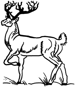 Иллюстрация к книге — Любое желание за 30 минут. Карта желаний. Быстрое исполнение желаний «золотыми» методами практического фэн-шуй [_28.jpg]