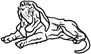 Иллюстрация к книге — Любое желание за 30 минут. Карта желаний. Быстрое исполнение желаний «золотыми» методами практического фэн-шуй [_29.jpg]