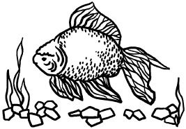 Иллюстрация к книге — Любое желание за 30 минут. Карта желаний. Быстрое исполнение желаний «золотыми» методами практического фэн-шуй [_34.jpg]