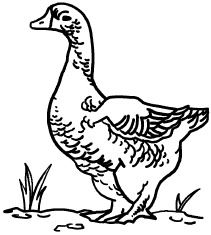 Иллюстрация к книге — Любое желание за 30 минут. Карта желаний. Быстрое исполнение желаний «золотыми» методами практического фэн-шуй [_35.jpg]