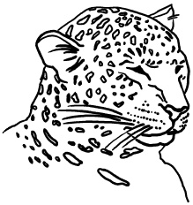 Иллюстрация к книге — Любое желание за 30 минут. Карта желаний. Быстрое исполнение желаний «золотыми» методами практического фэн-шуй [_37.jpg]