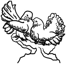 Иллюстрация к книге — Любое желание за 30 минут. Карта желаний. Быстрое исполнение желаний «золотыми» методами практического фэн-шуй [_38.jpg]