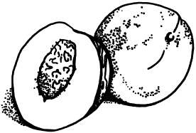 Иллюстрация к книге — Любое желание за 30 минут. Карта желаний. Быстрое исполнение желаний «золотыми» методами практического фэн-шуй [_67.jpg]