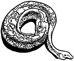 Иллюстрация к книге — Любое желание за 30 минут. Карта желаний. Быстрое исполнение желаний «золотыми» методами практического фэн-шуй [_72.jpg]