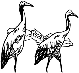 Иллюстрация к книге — Любое желание за 30 минут. Карта желаний. Быстрое исполнение желаний «золотыми» методами практического фэн-шуй [_73.jpg]