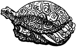 Иллюстрация к книге — Любое желание за 30 минут. Карта желаний. Быстрое исполнение желаний «золотыми» методами практического фэн-шуй [_78.jpg]