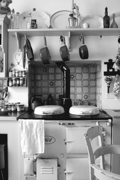 Иллюстрация к книге — Фэн-шуй на вашей кухне [i_022.jpg]