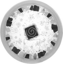 Иллюстрация к книге — Фэн-шуй на вашей кухне [i_030.jpg]