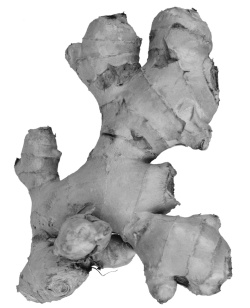 Иллюстрация к книге — Фэн-шуй на вашей кухне [i_033.jpg]