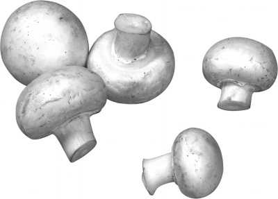 Иллюстрация к книге — Фэн-шуй на вашей кухне [i_042.jpg]