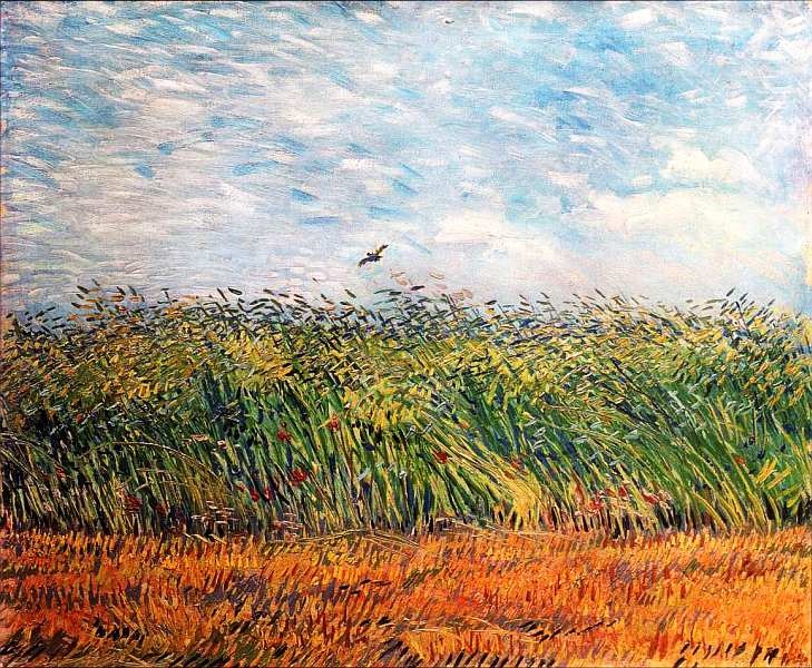 Иллюстрация к книге — Музей Винсента Ван Гога [i_028.jpg]