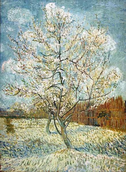 Иллюстрация к книге — Музей Винсента Ван Гога [i_030.jpg]