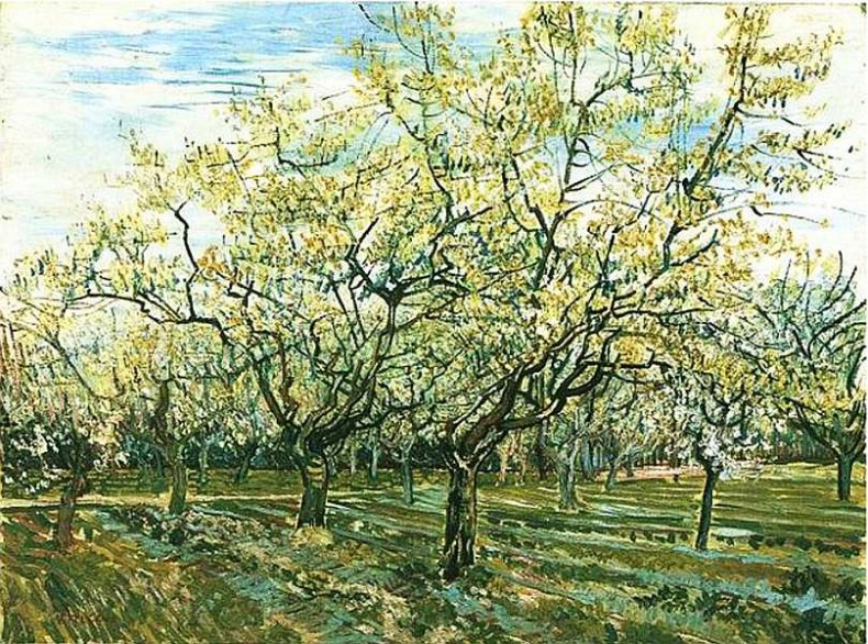 Иллюстрация к книге — Музей Винсента Ван Гога [i_034.jpg]