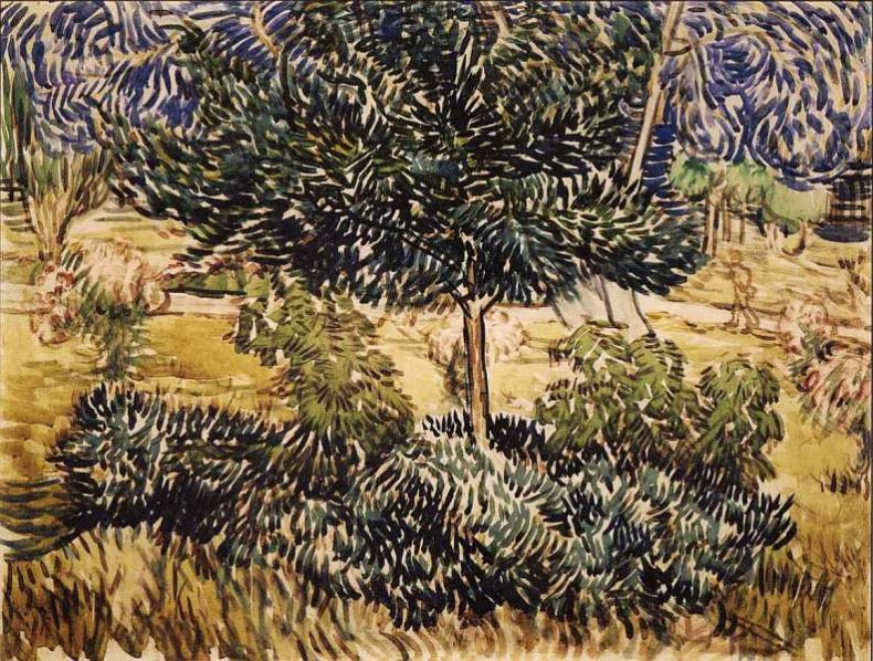 Иллюстрация к книге — Музей Винсента Ван Гога [i_050.jpg]