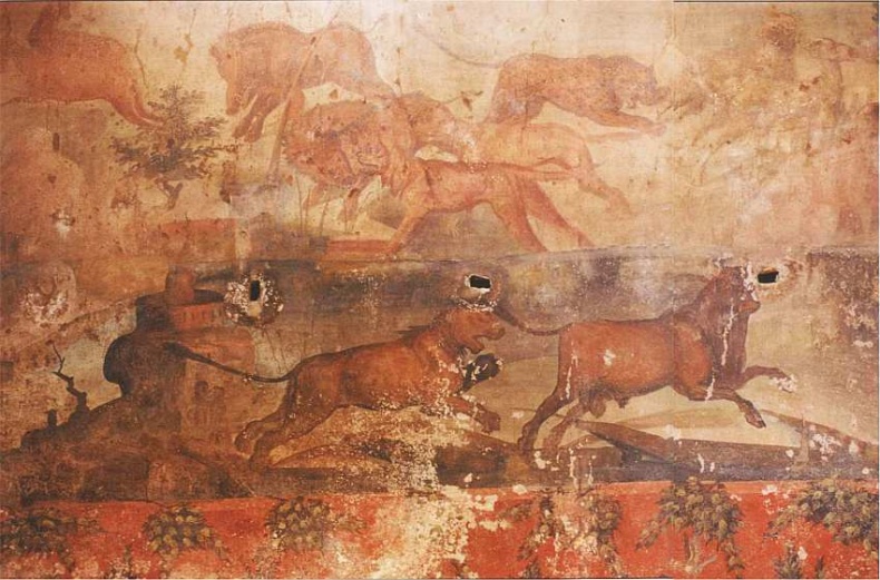 Иллюстрация к книге — Город-музей Помпеи [i_077.jpg]