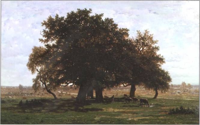 Иллюстрация к книге — Лувр [i_061.jpg]