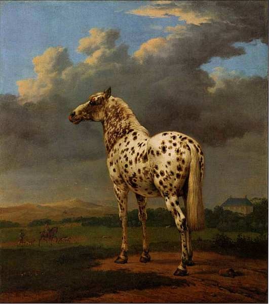 Иллюстрация к книге — Музей Дж. Пола Гетти [i_026.jpg]