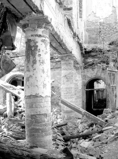 Иллюстрация к книге — Петербургские окрестности. Быт и нравы начала ХХ века [_117.jpg]