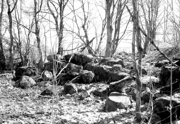 Иллюстрация к книге — Петербургские окрестности. Быт и нравы начала ХХ века [_164.jpg]