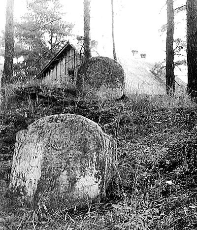 Иллюстрация к книге — Петербургские окрестности. Быт и нравы начала ХХ века [_38.jpg]