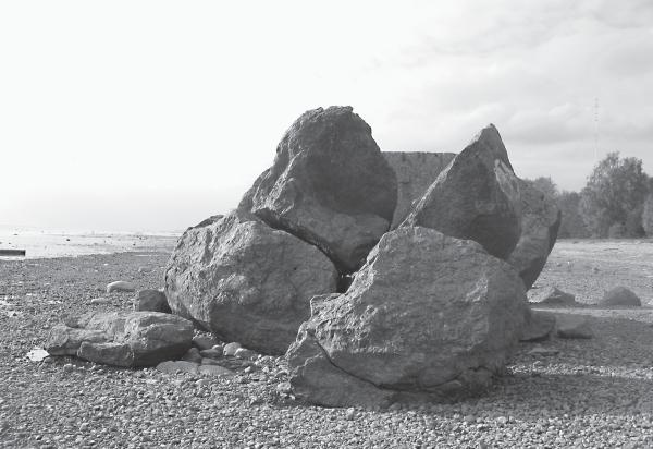 Иллюстрация к книге — Исторические районы Петербурга от А до Я [_113.jpg]