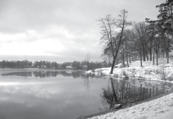 Иллюстрация к книге — Исторические районы Петербурга от А до Я [_166.jpg]