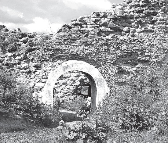 Иллюстрация к книге — Вокруг Петербурга. Заметки наблюдателя [i_011.jpg]