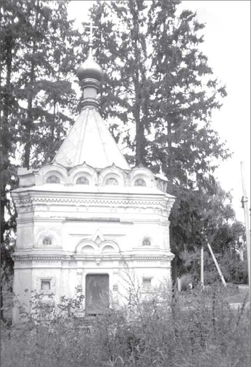 Иллюстрация к книге — Вокруг Петербурга. Заметки наблюдателя [i_039.jpg]