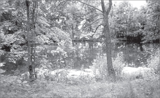 Иллюстрация к книге — Вокруг Петербурга. Заметки наблюдателя [i_045.jpg]