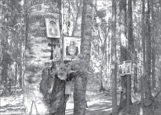 Иллюстрация к книге — Вокруг Петербурга. Заметки наблюдателя [i_086.jpg]