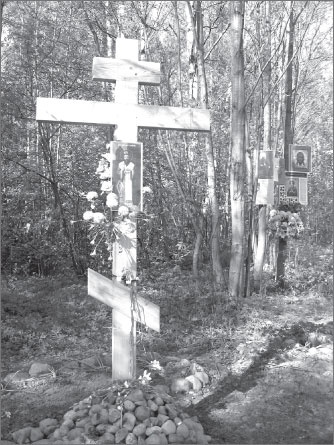 Иллюстрация к книге — Вокруг Петербурга. Заметки наблюдателя [i_087.jpg]