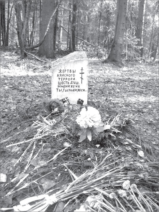 Иллюстрация к книге — Вокруг Петербурга. Заметки наблюдателя [i_088.jpg]