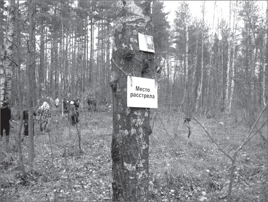 Иллюстрация к книге — Вокруг Петербурга. Заметки наблюдателя [i_092.jpg]