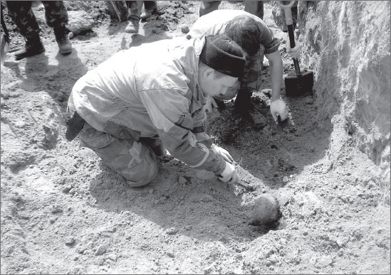 Иллюстрация к книге — Вокруг Петербурга. Заметки наблюдателя [i_094.jpg]