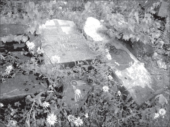 Иллюстрация к книге — Вокруг Петербурга. Заметки наблюдателя [i_099.jpg]