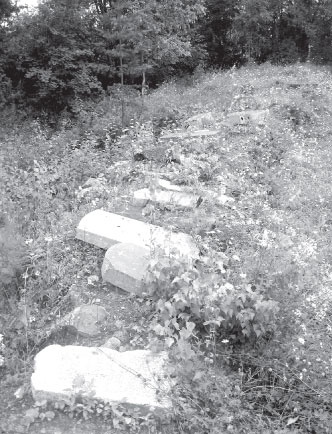 Иллюстрация к книге — Вокруг Петербурга. Заметки наблюдателя [i_100.jpg]