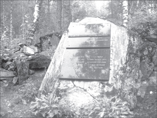 Иллюстрация к книге — Вокруг Петербурга. Заметки наблюдателя [i_101.jpg]