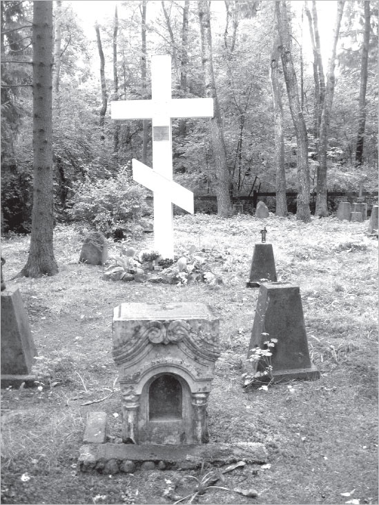 Иллюстрация к книге — Вокруг Петербурга. Заметки наблюдателя [i_103.jpg]