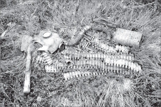 Иллюстрация к книге — Вокруг Петербурга. Заметки наблюдателя [i_114.jpg]