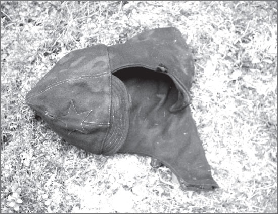 Иллюстрация к книге — Вокруг Петербурга. Заметки наблюдателя [i_115.jpg]