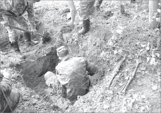 Иллюстрация к книге — Вокруг Петербурга. Заметки наблюдателя [i_119.jpg]