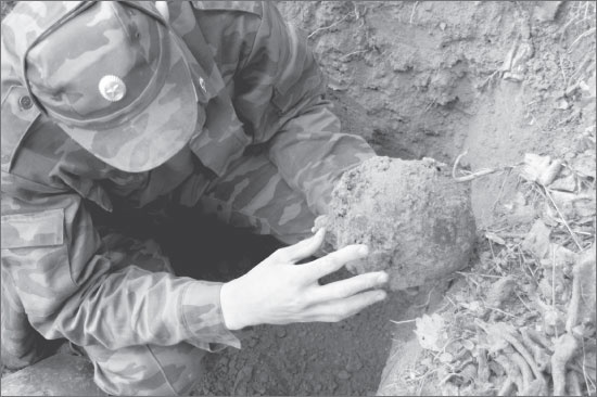 Иллюстрация к книге — Вокруг Петербурга. Заметки наблюдателя [i_120.jpg]