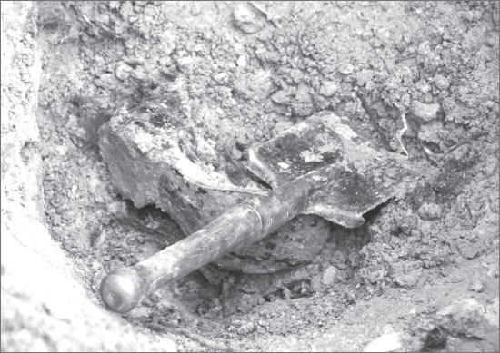 Иллюстрация к книге — Вокруг Петербурга. Заметки наблюдателя [i_121.jpg]